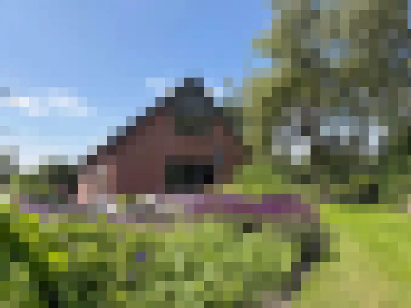 Veldweg 3 Coevorden thumbnail 16