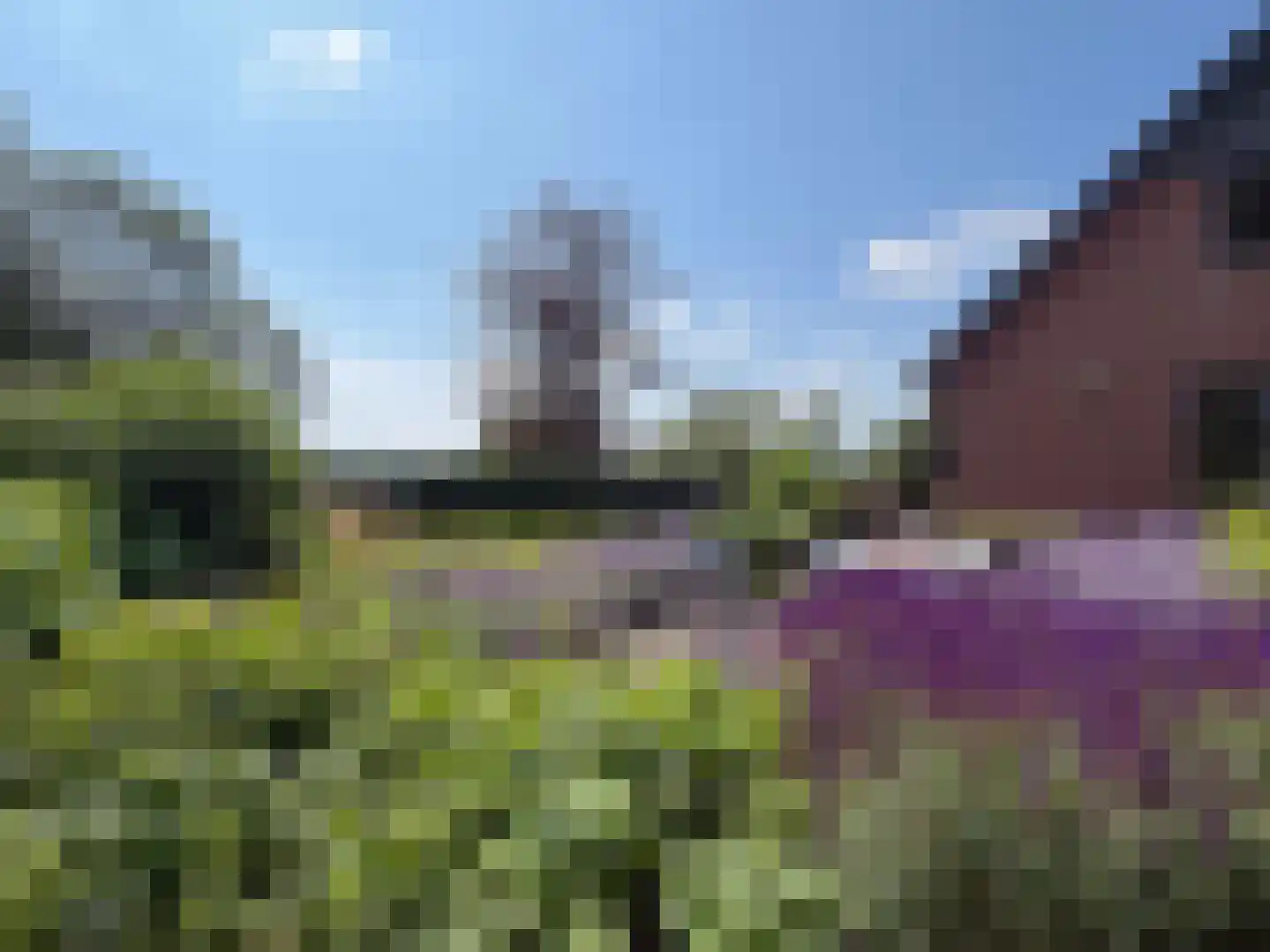 Veldweg 3 Coevorden thumbnail 17