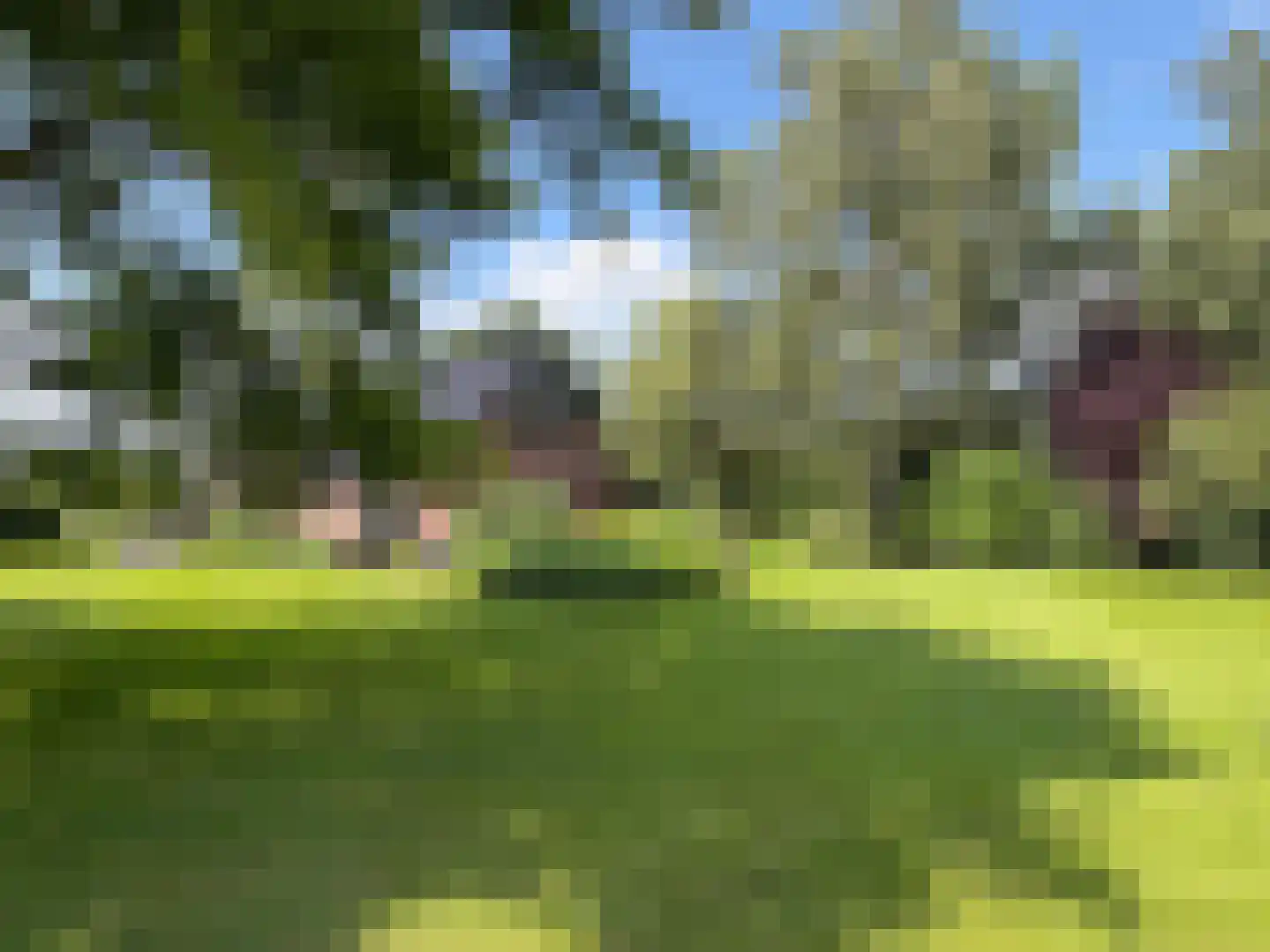 Veldweg 3 Coevorden thumbnail 18