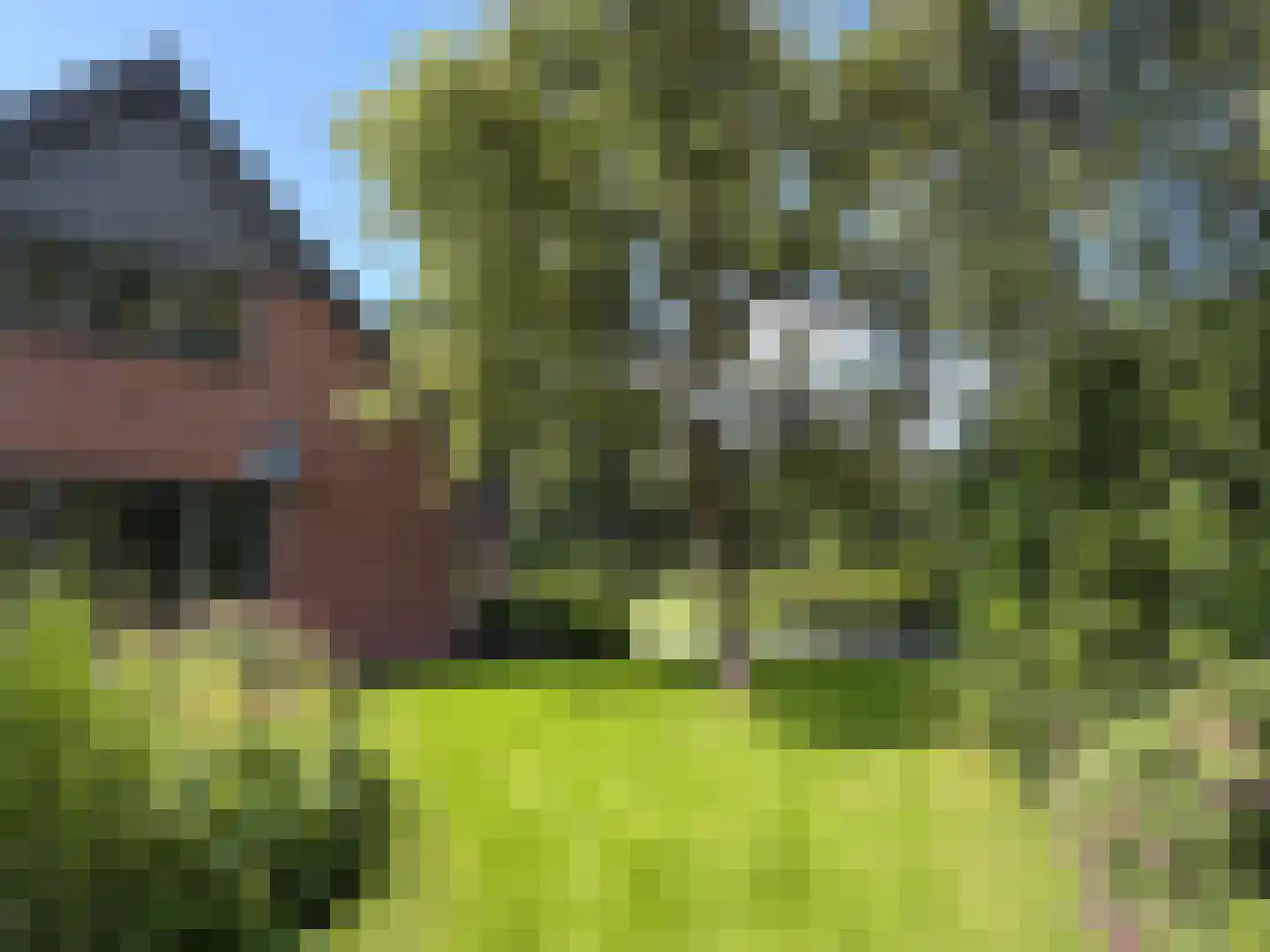 Veldweg 3 Coevorden thumbnail 21