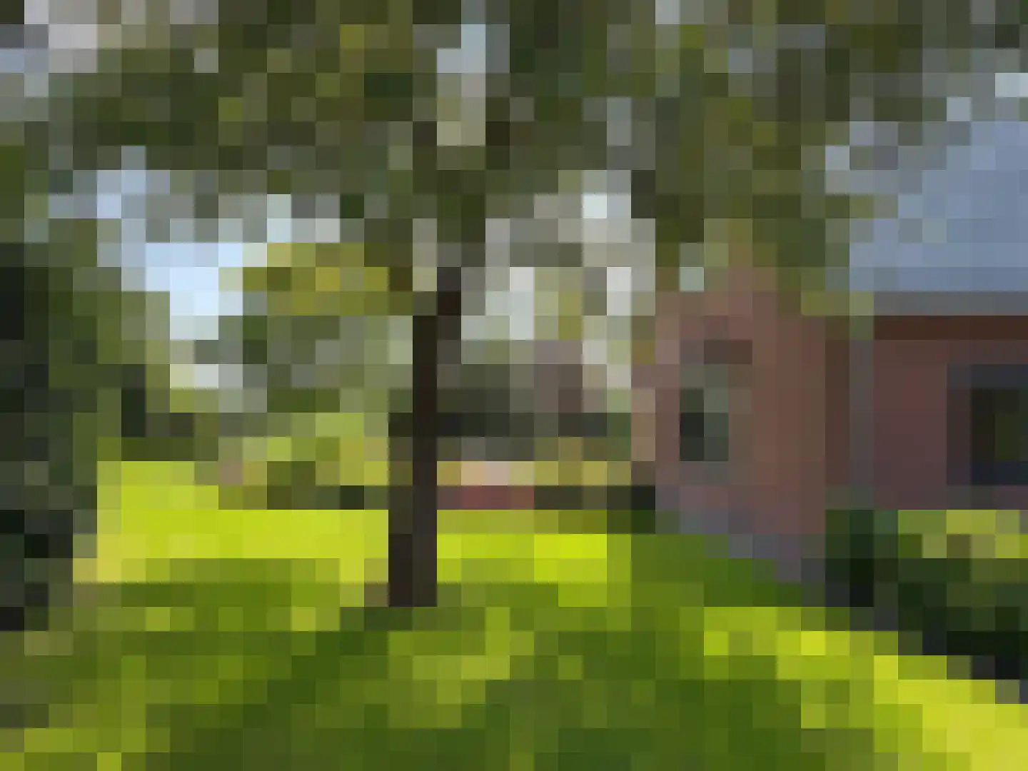 Veldweg 3 Coevorden thumbnail 25