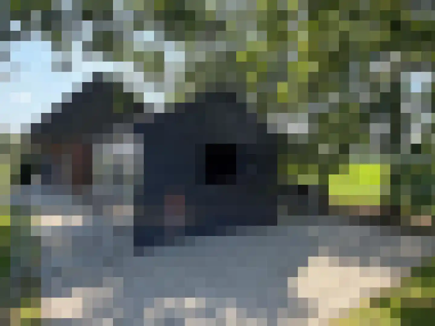 Veldweg 3 Coevorden thumbnail 36