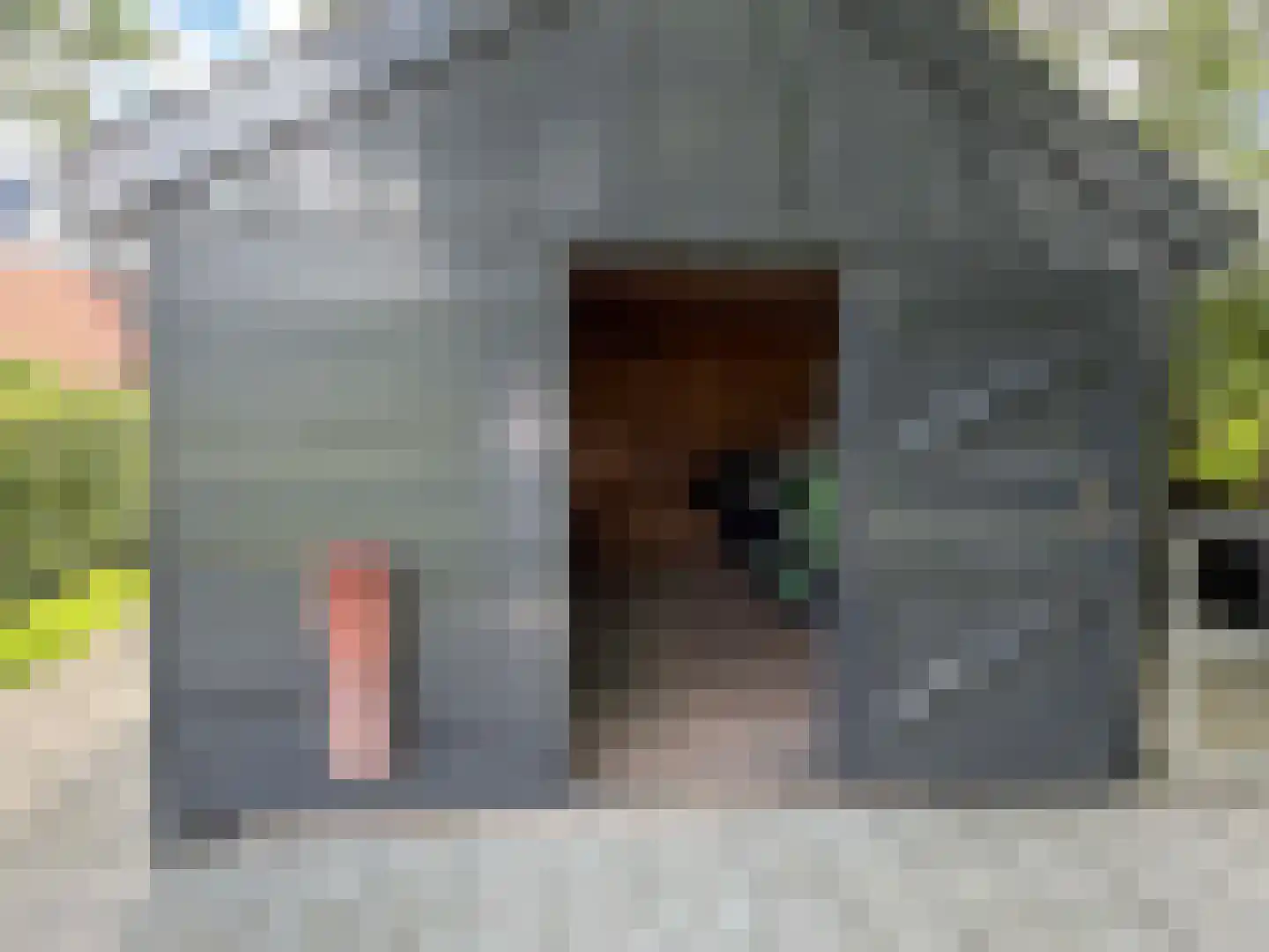 Veldweg 3 Coevorden thumbnail 37
