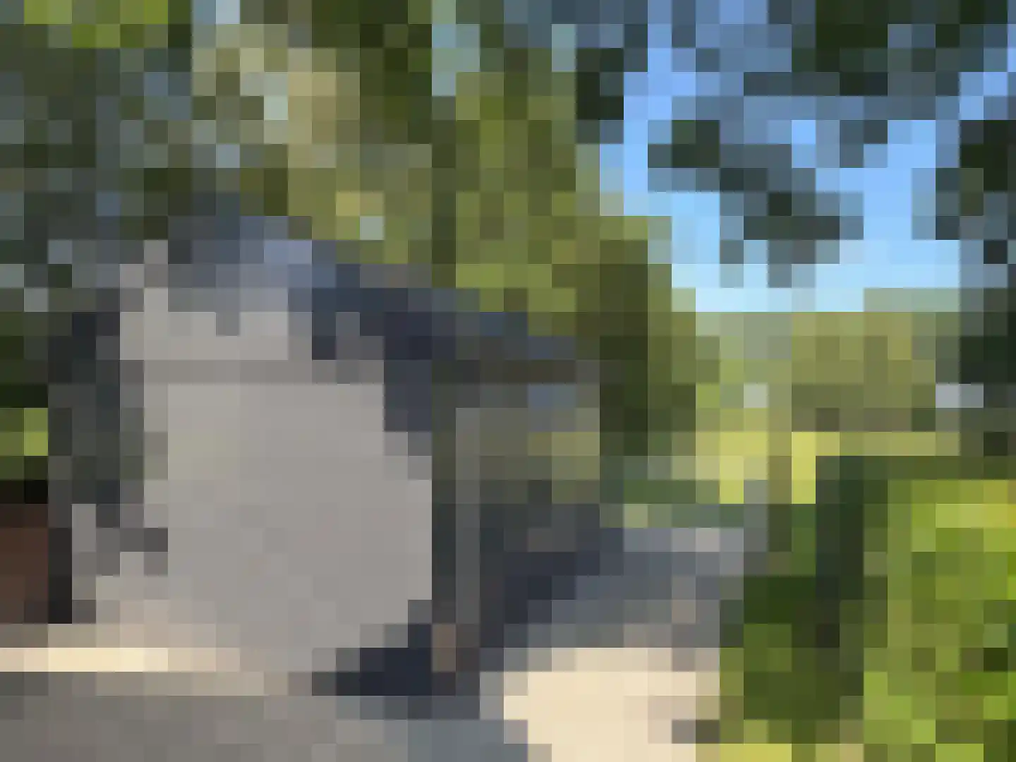 Veldweg 3 Coevorden thumbnail 38