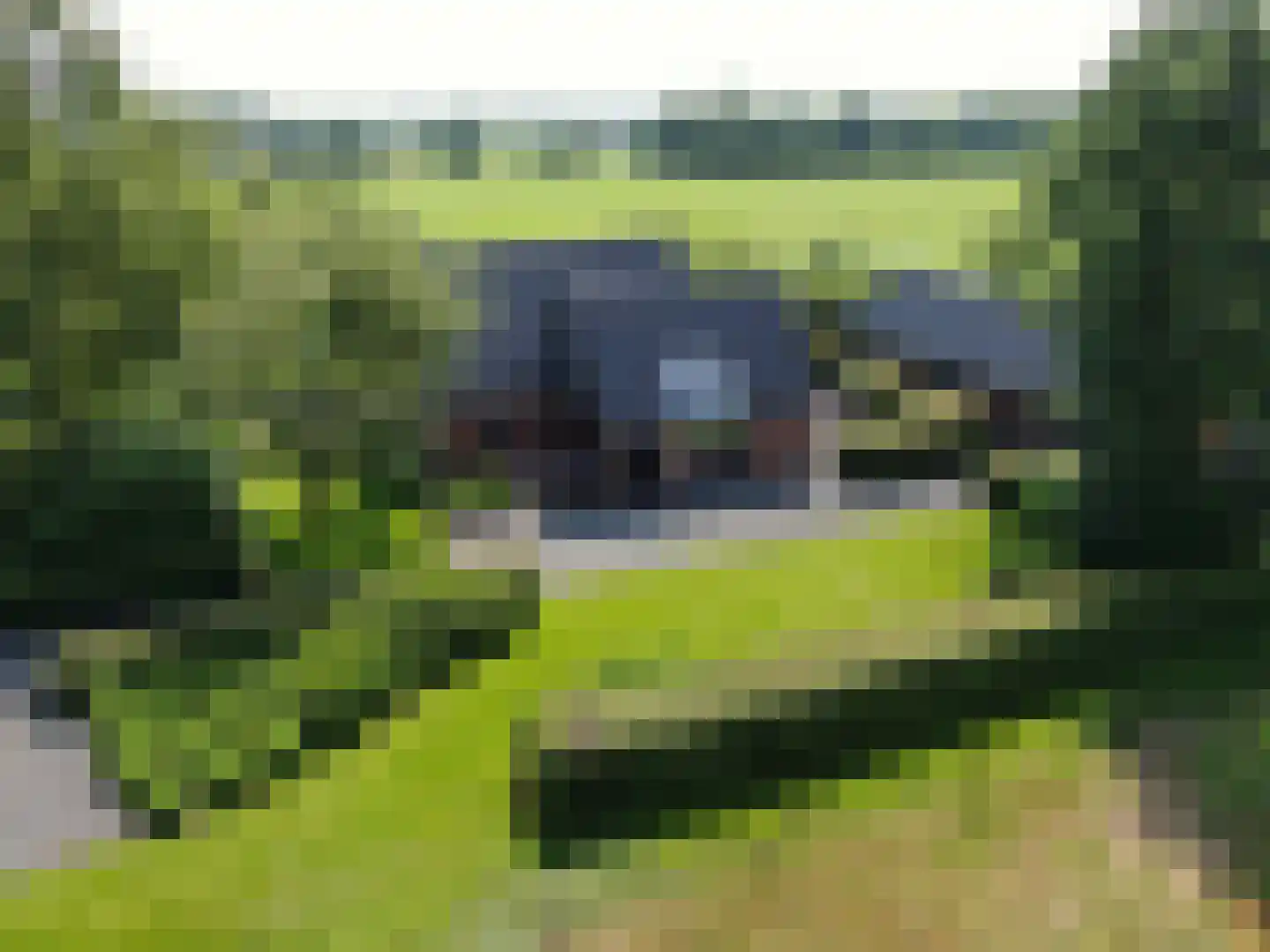 Veldweg 3 Coevorden thumbnail 4