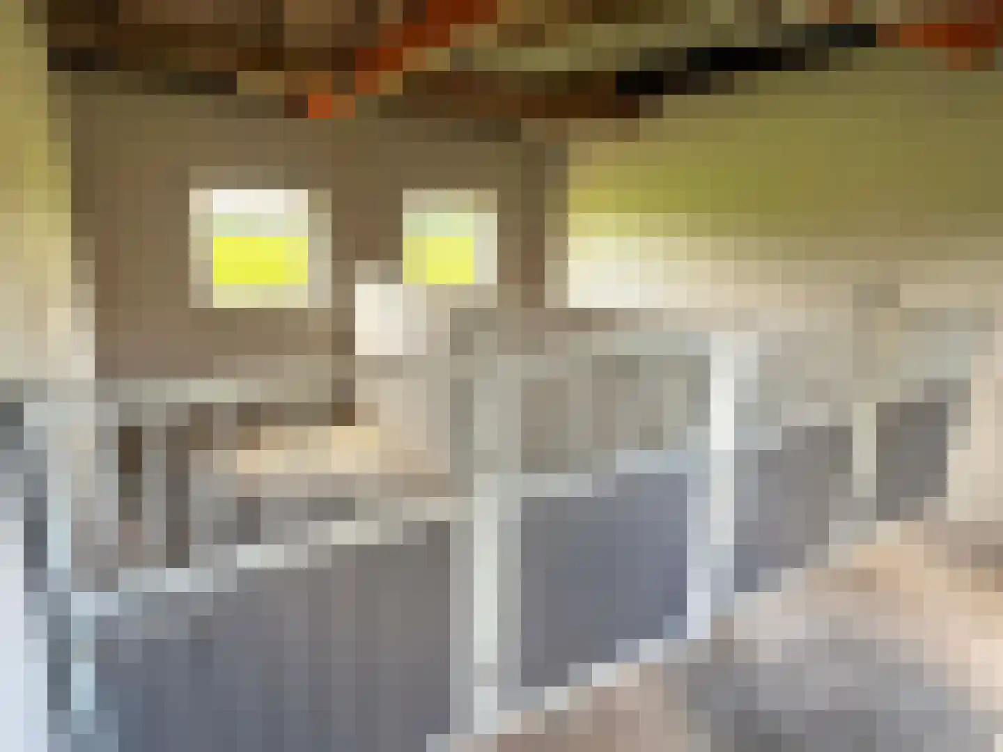 Veldweg 3 Coevorden thumbnail 43