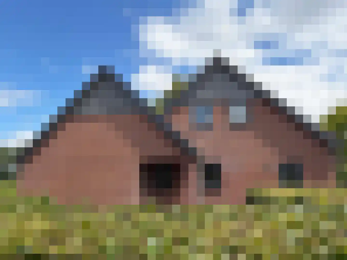 Veldweg 3 Coevorden thumbnail 47
