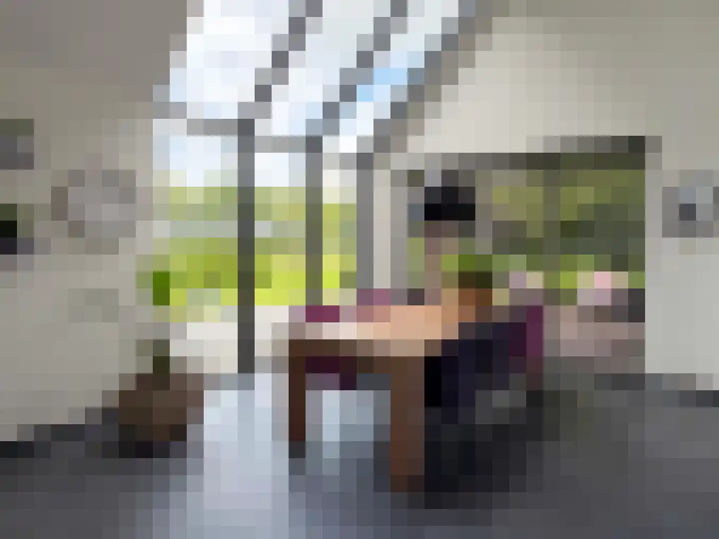 Veldweg 3 Coevorden thumbnail 5