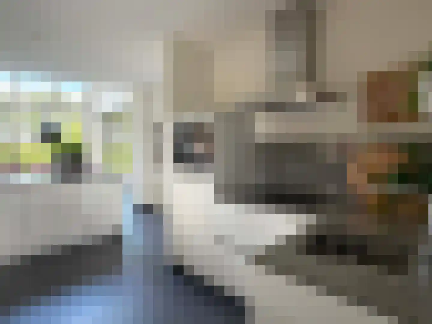 Veldweg 3 Coevorden thumbnail 58