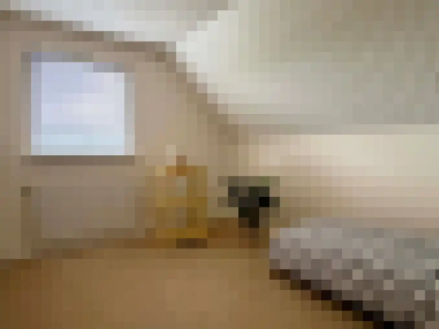 Veldweg 3 Coevorden thumbnail 64