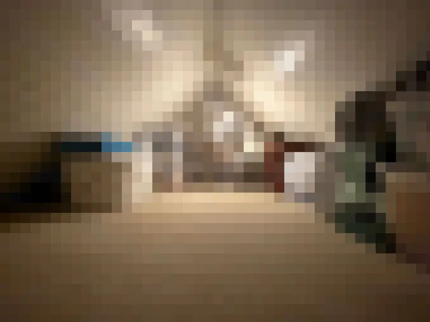 Veldweg 3 Coevorden thumbnail 69