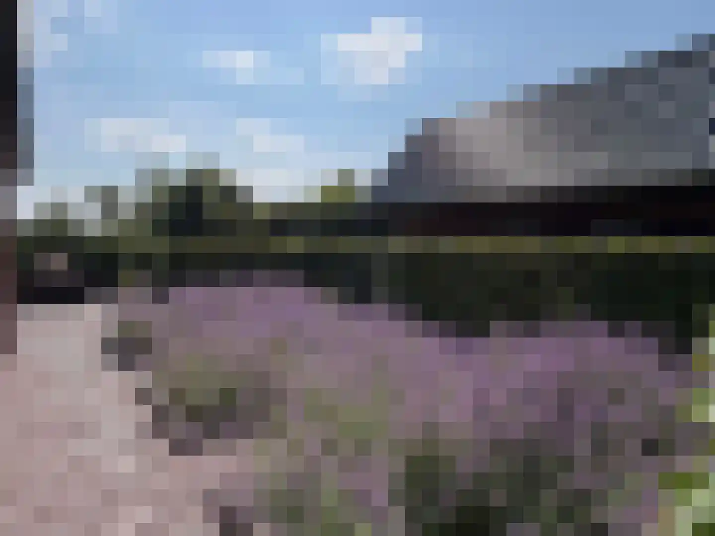 Veldweg 3 Coevorden thumbnail 7