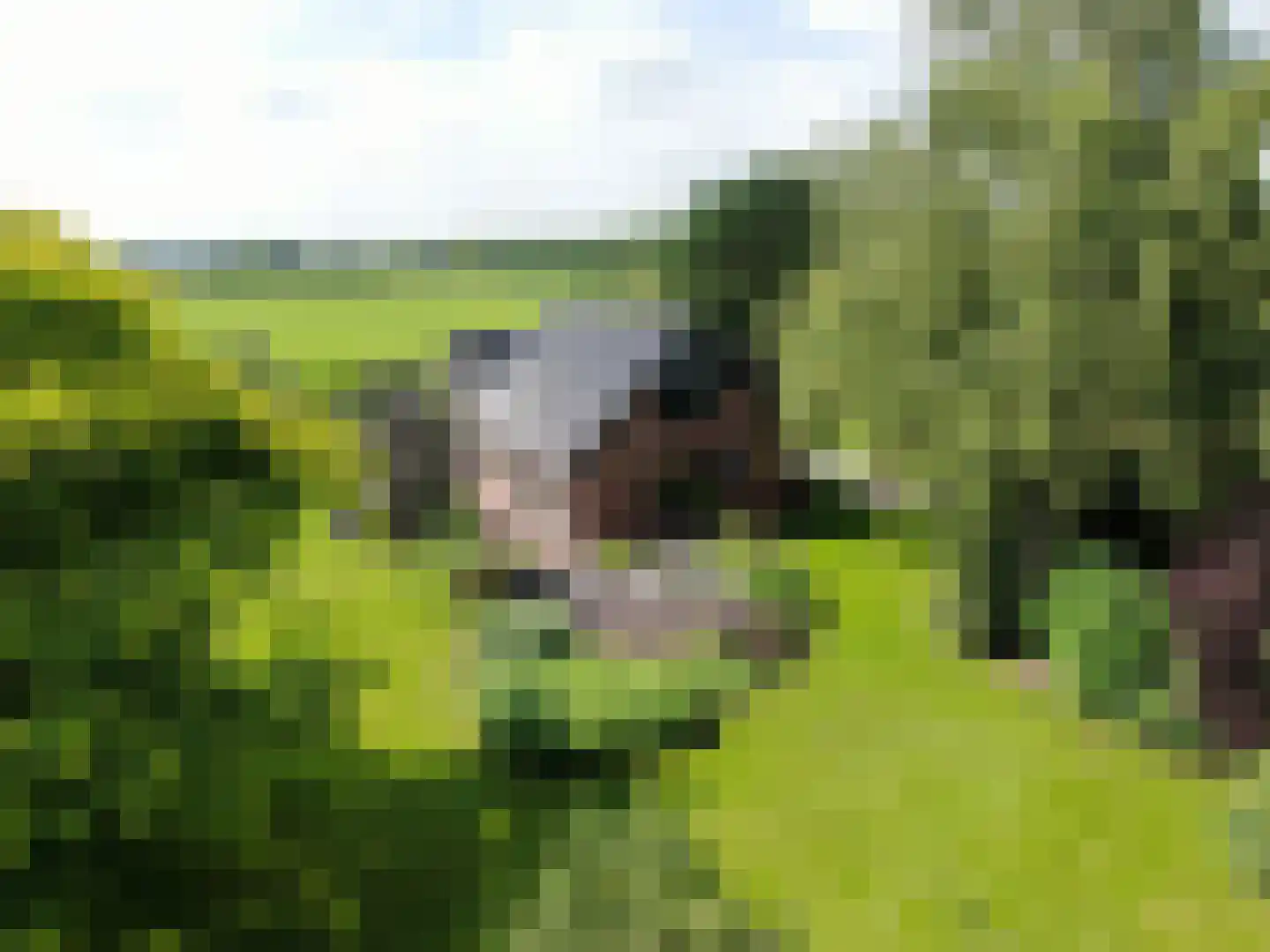 Veldweg 3 Coevorden thumbnail 70