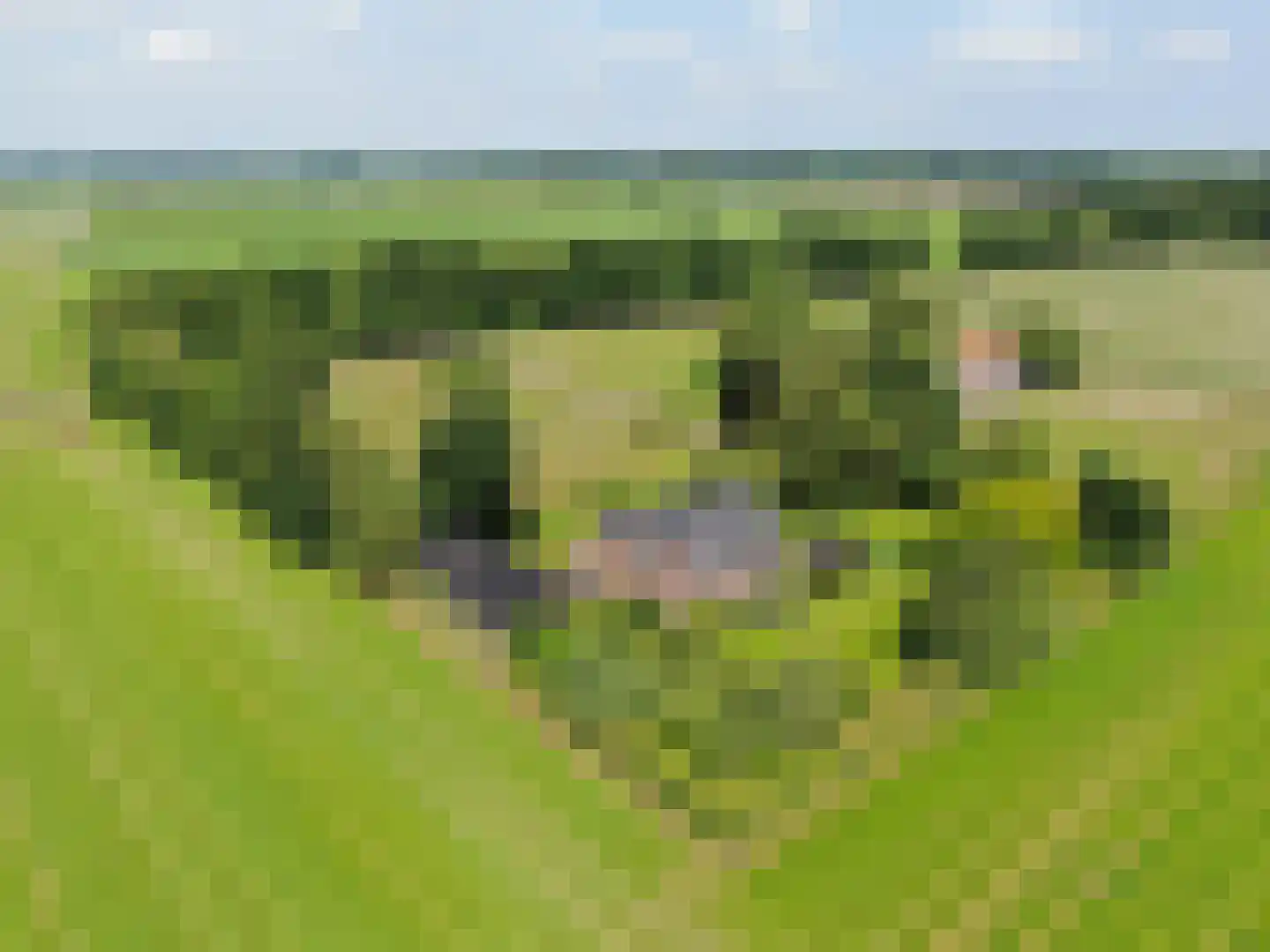 Veldweg 3 Coevorden thumbnail 71