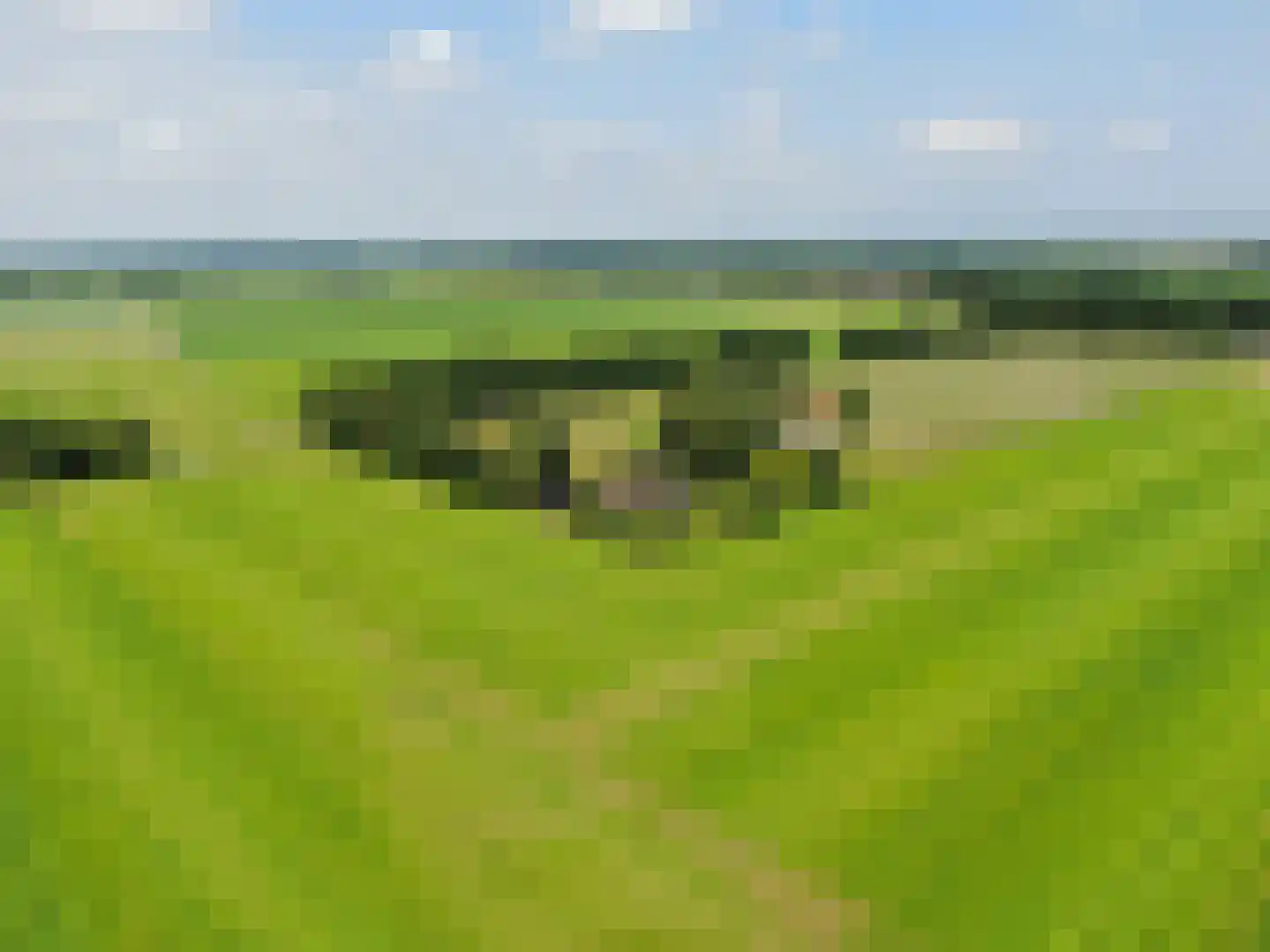 Veldweg 3 Coevorden thumbnail 72
