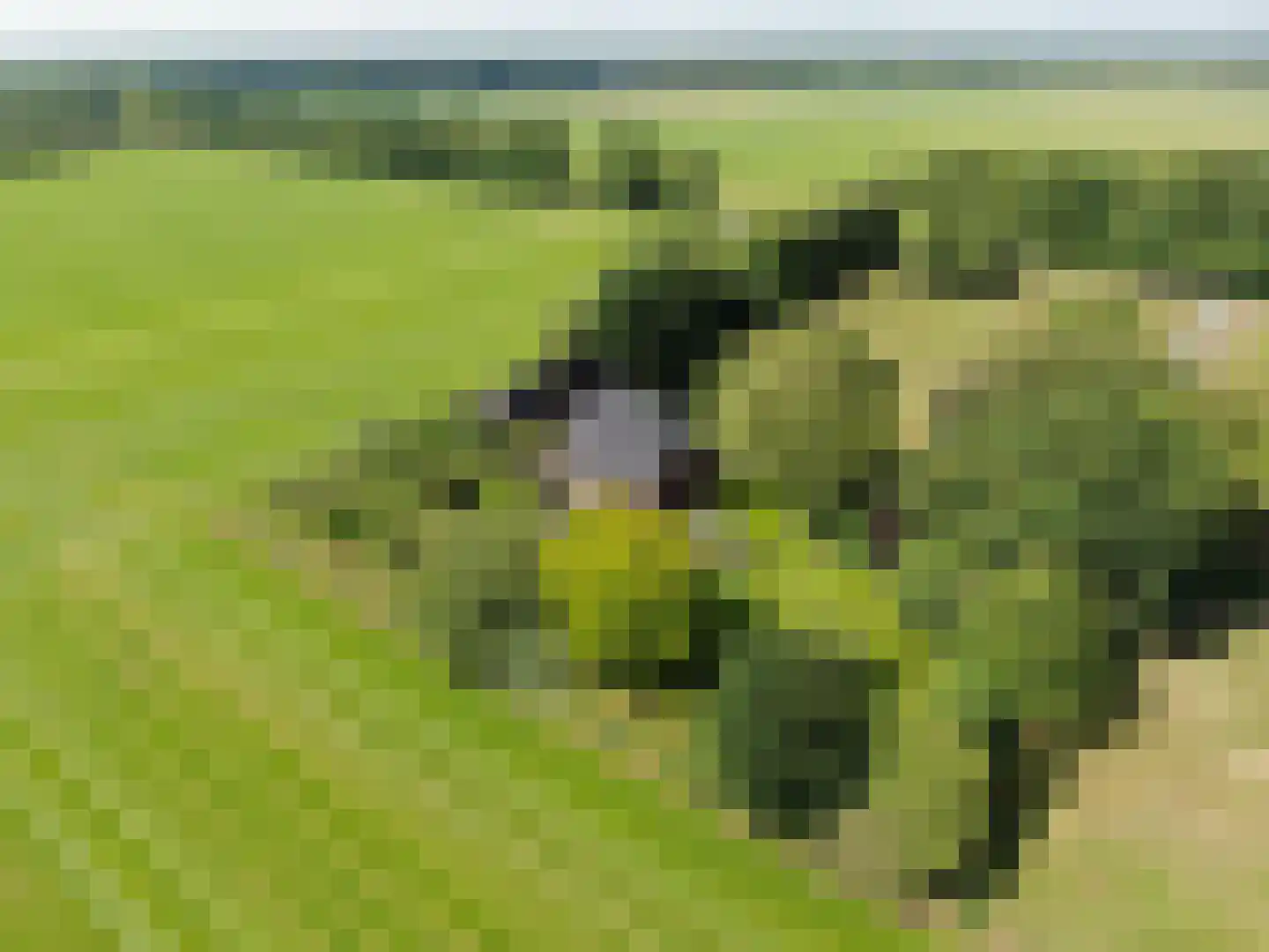 Veldweg 3 Coevorden thumbnail 74