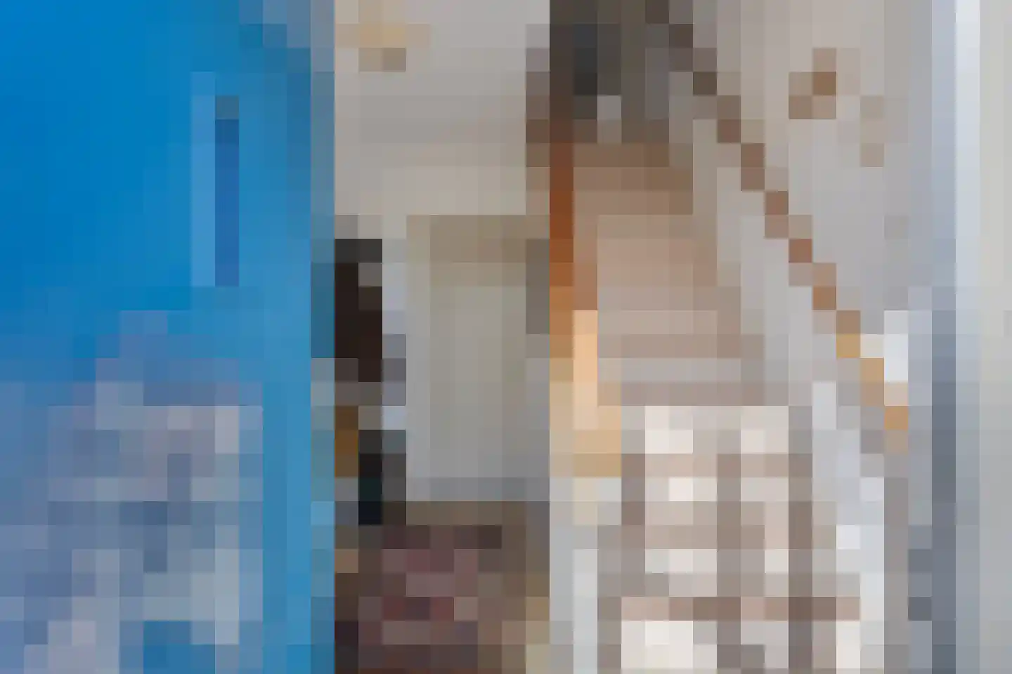 Veldweg 3 Herpt thumbnail 12