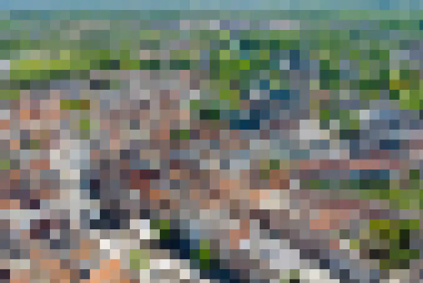 Veldweg 3 Herpt thumbnail 13