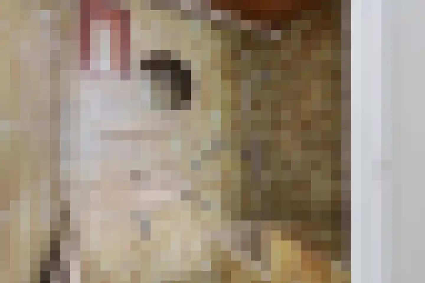 Veldweg 3 Herpt thumbnail 32