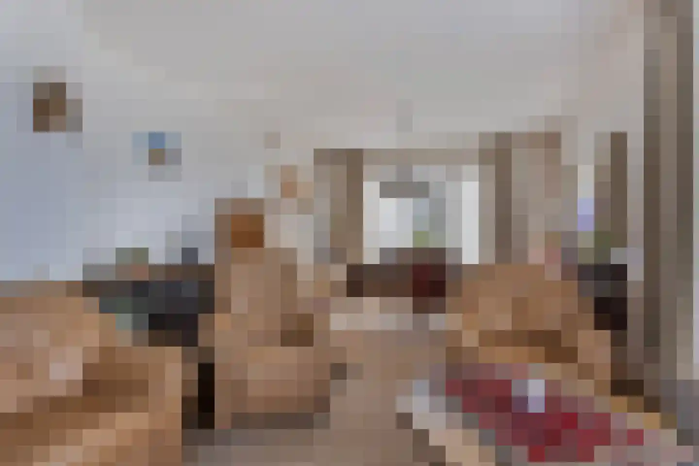 Veldweg 3 Herpt thumbnail 4