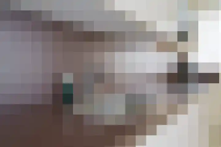 Veldweg 3 Herpt thumbnail 42
