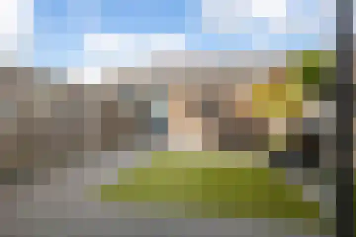 Veldweg 3 Herpt thumbnail 54