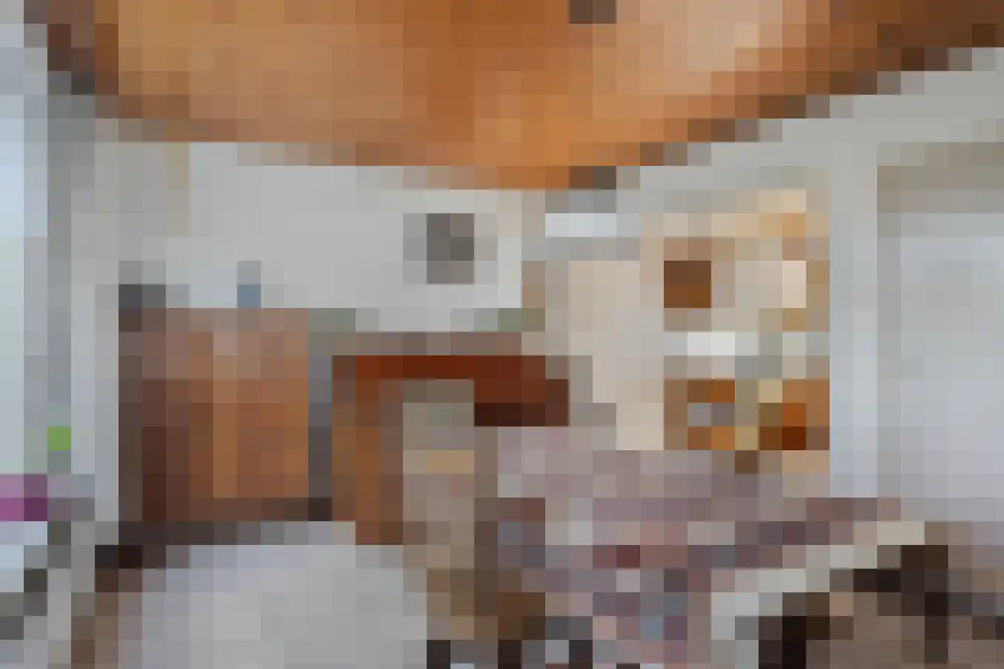 Veldweg 3 Herpt thumbnail 6