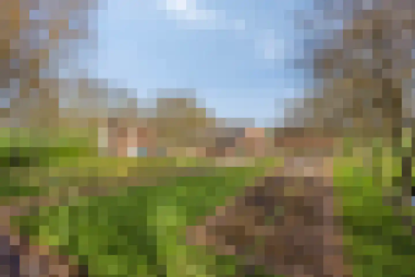 Veldweg 3 Herpt thumbnail 62