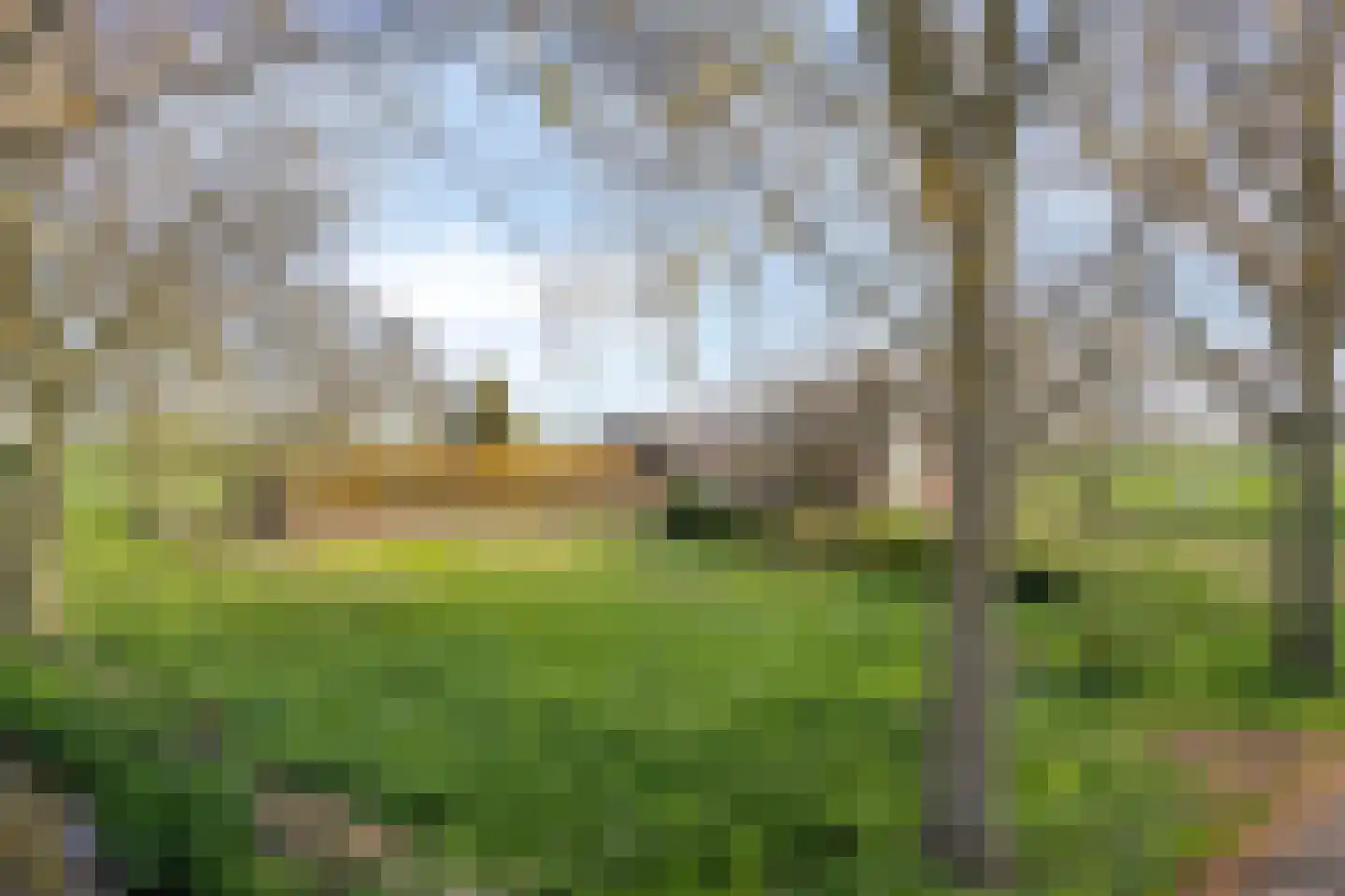 Veldweg 3 Herpt thumbnail 64