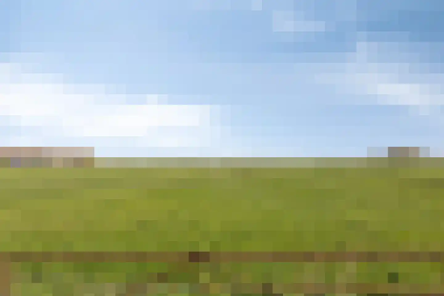 Veldweg 3 Herpt thumbnail 65