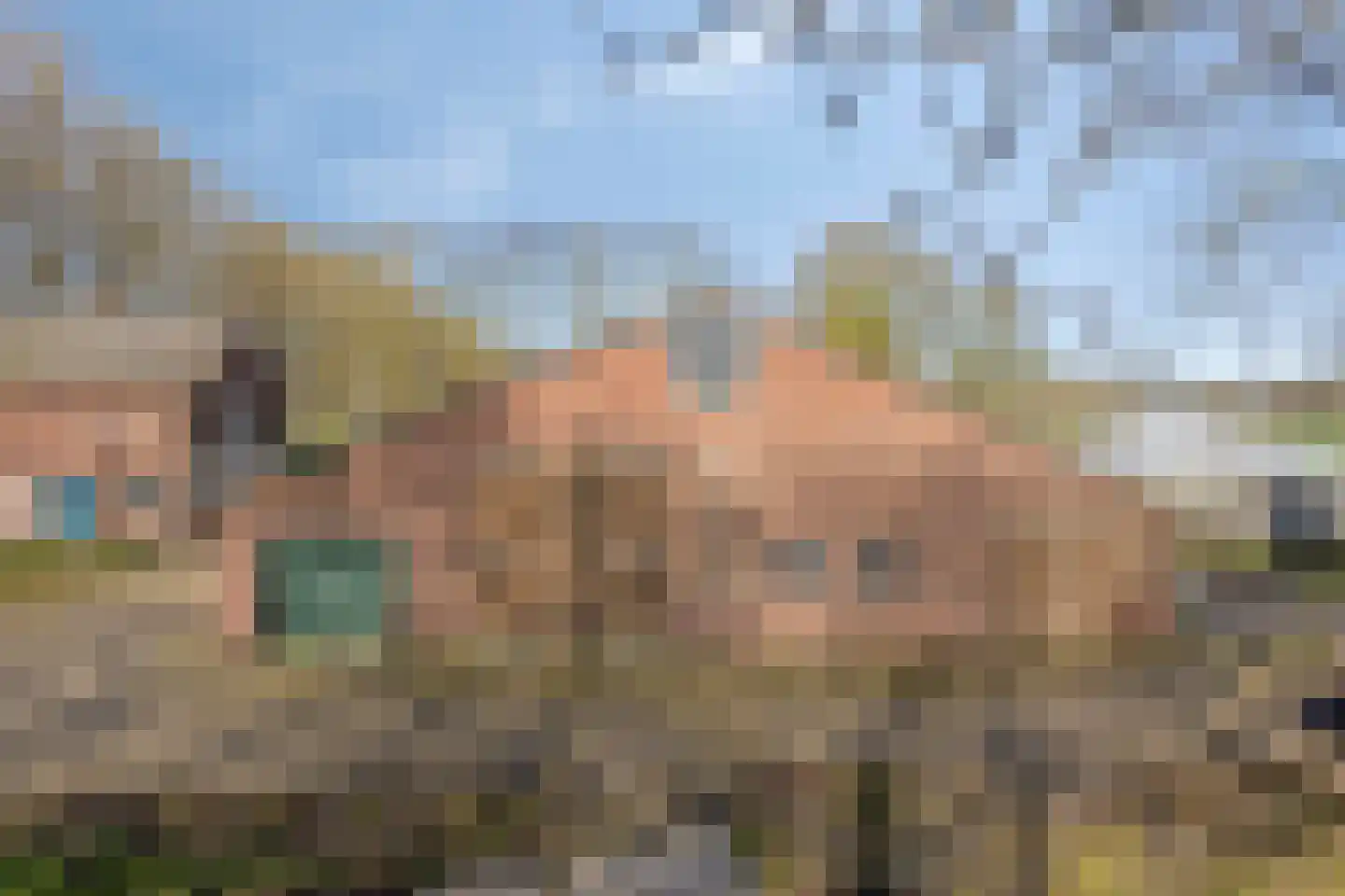 Veldweg 3 Herpt thumbnail 8