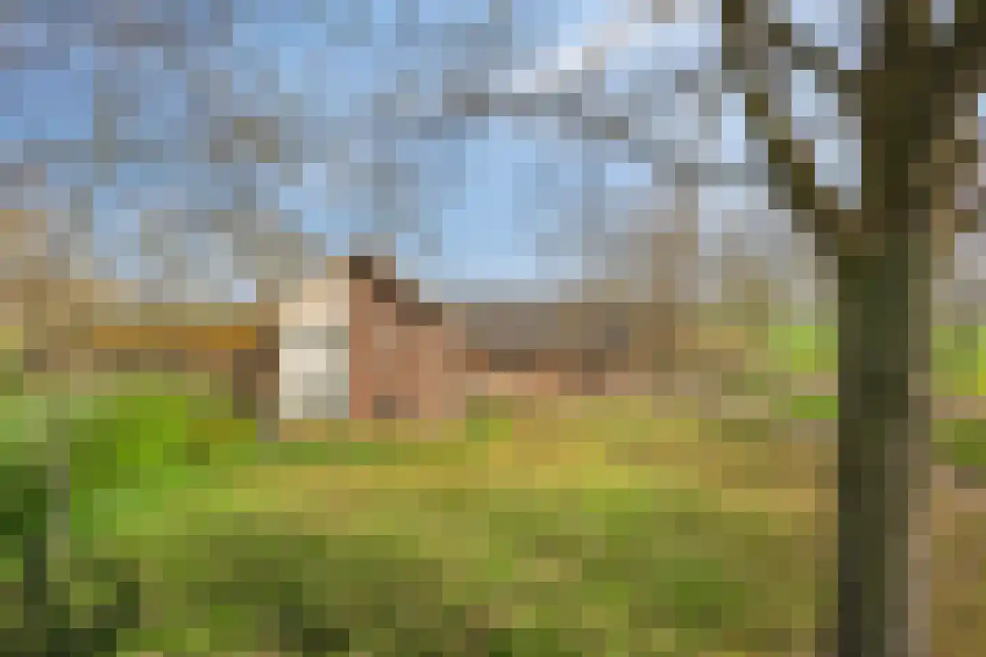 Veldweg 3 Herpt thumbnail 9