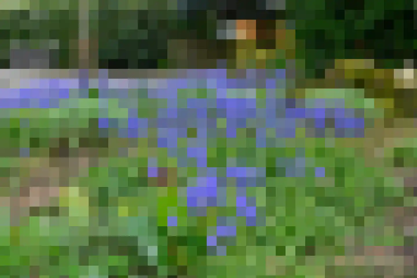 Veldweg 3 Soest thumbnail 30