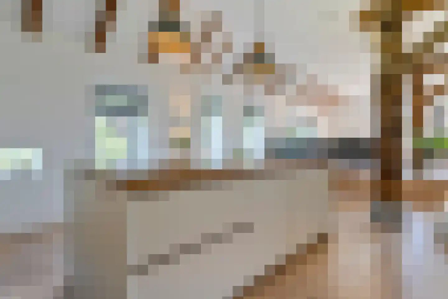 Veldweg 3 Zwolle thumbnail 11