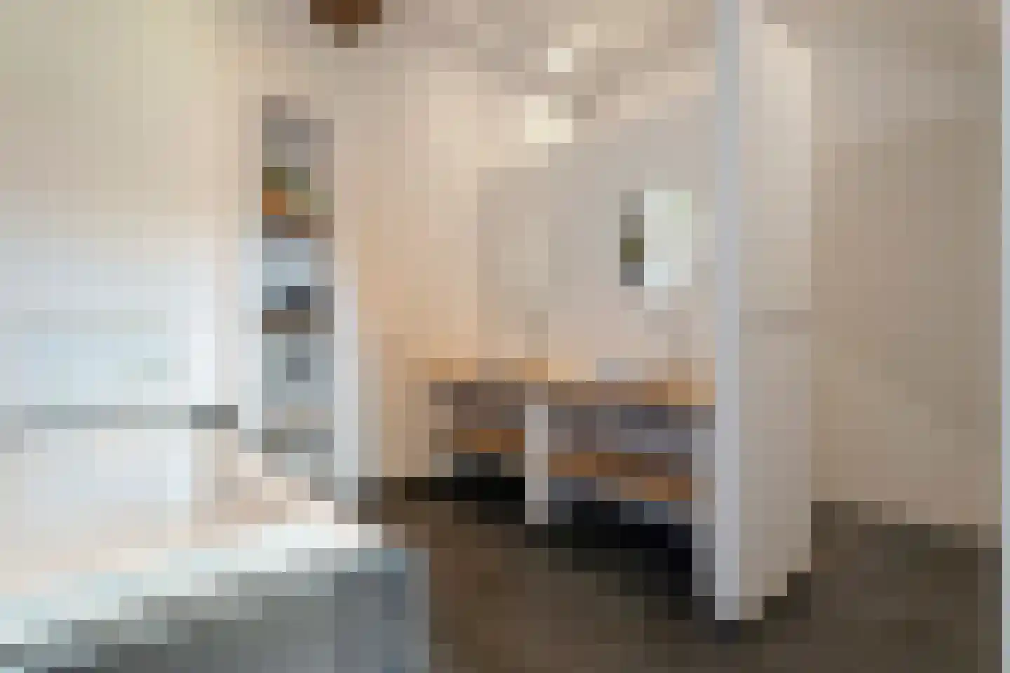 Veldweg 3 Zwolle thumbnail 20