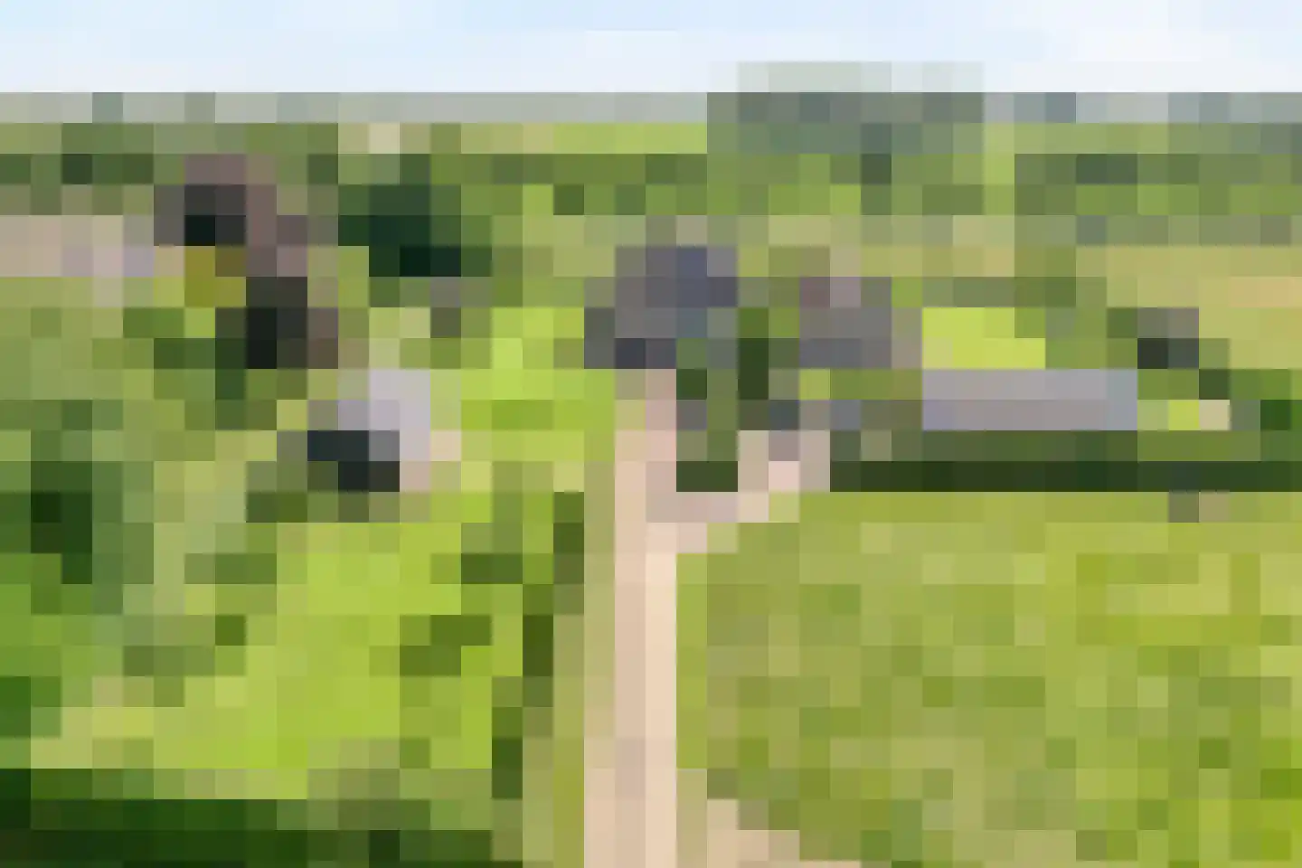 Veldweg 3 Zwolle thumbnail 4