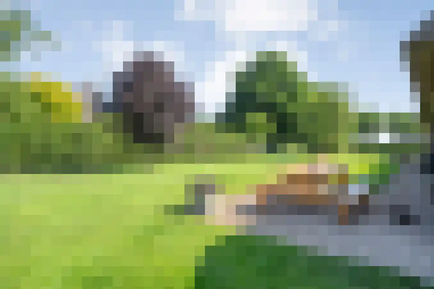 Veldweg 3 Zwolle thumbnail 43