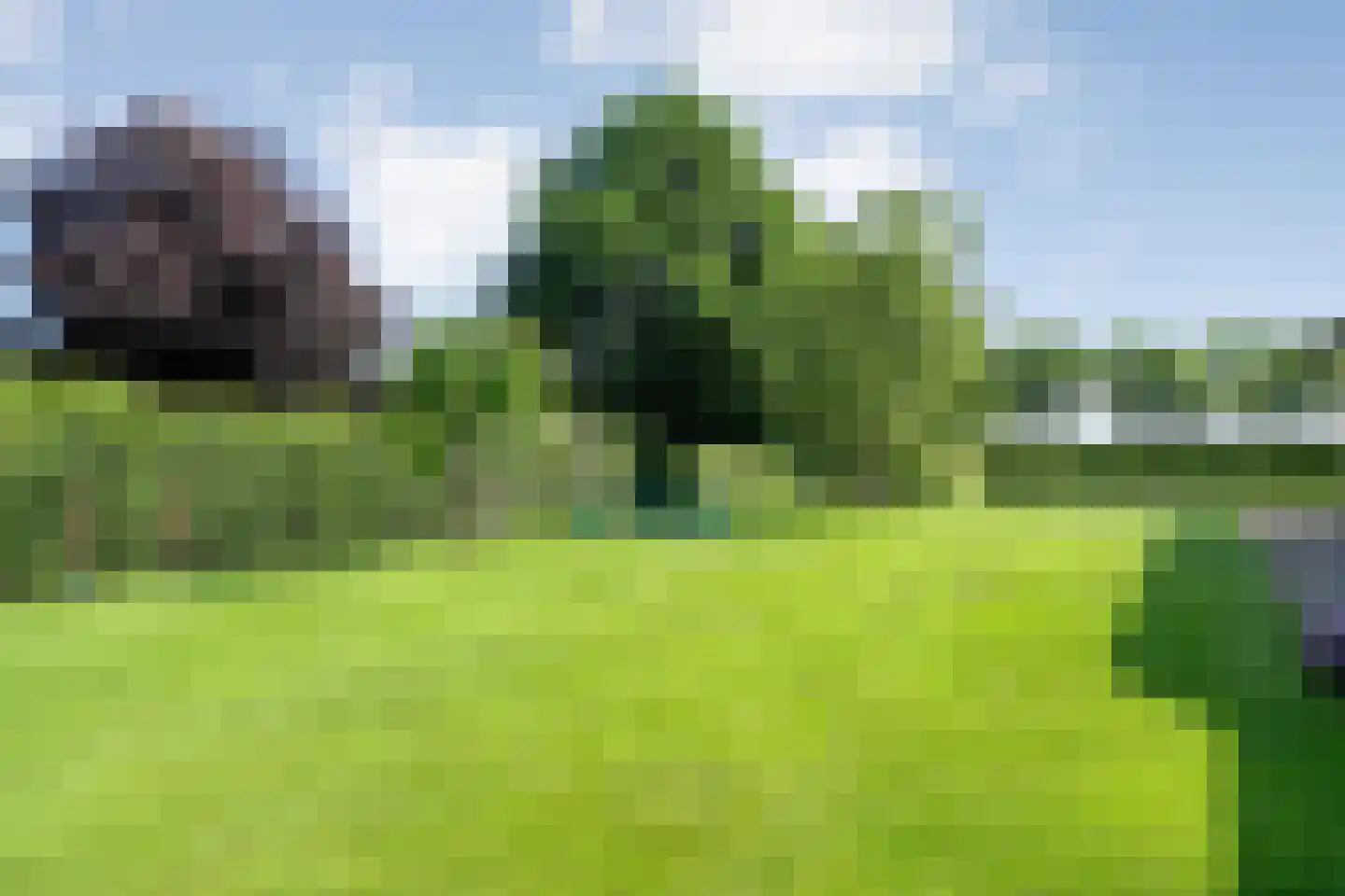 Veldweg 3 Zwolle thumbnail 44