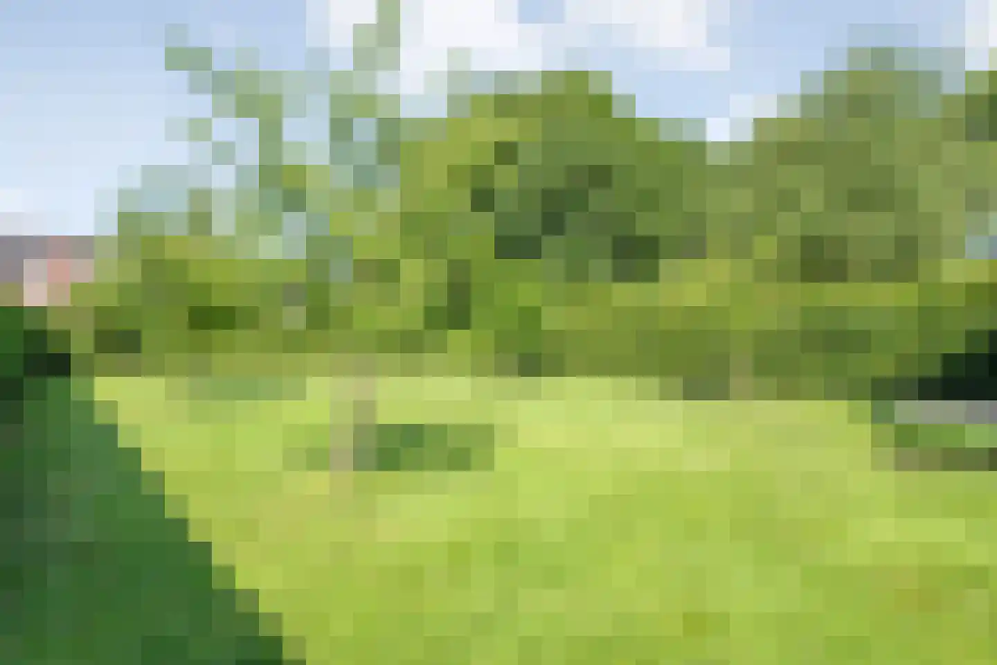 Veldweg 3 Zwolle thumbnail 49