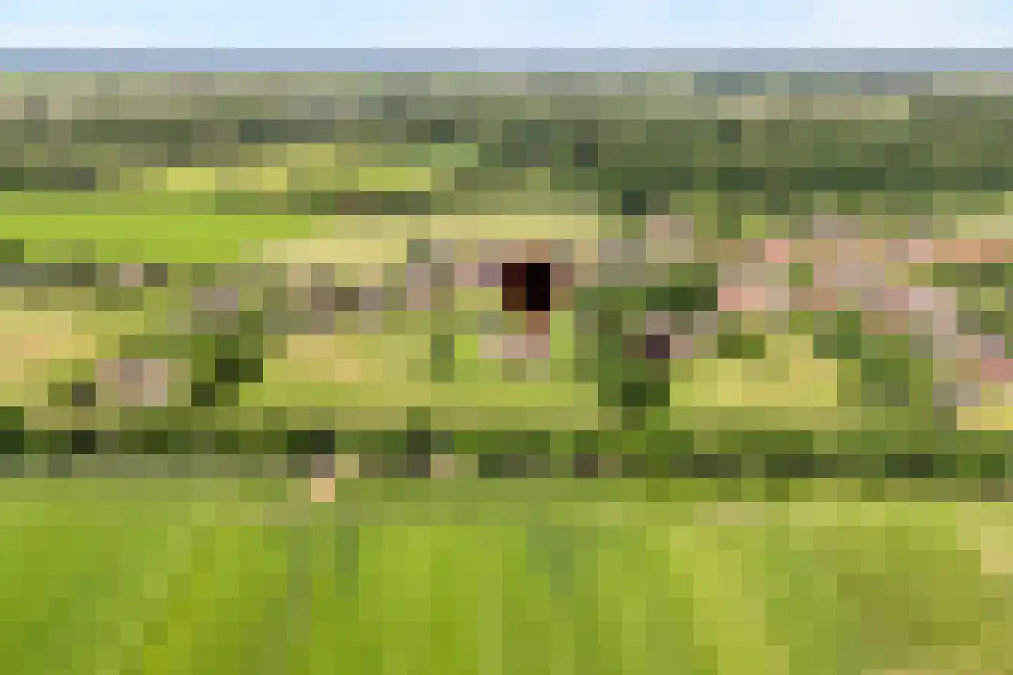 Veldweg 3 Zwolle thumbnail 5