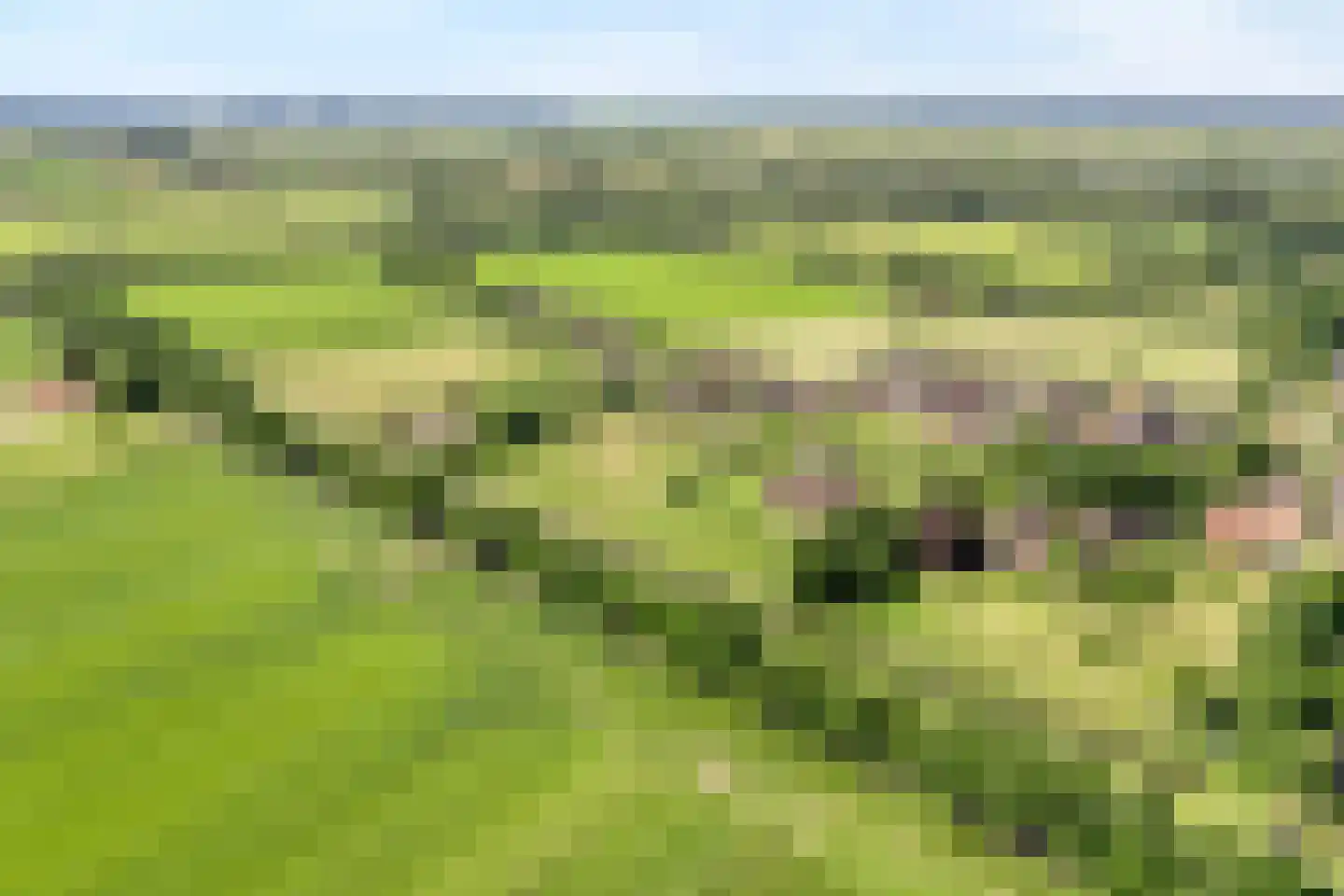 Veldweg 3 Zwolle thumbnail 54
