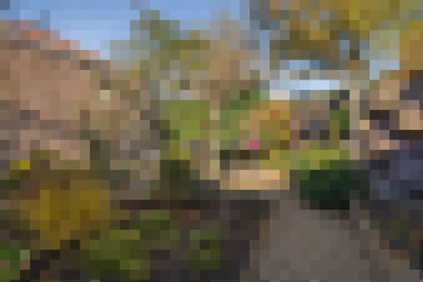 Veldweg 30 Etten-Leur thumbnail 34