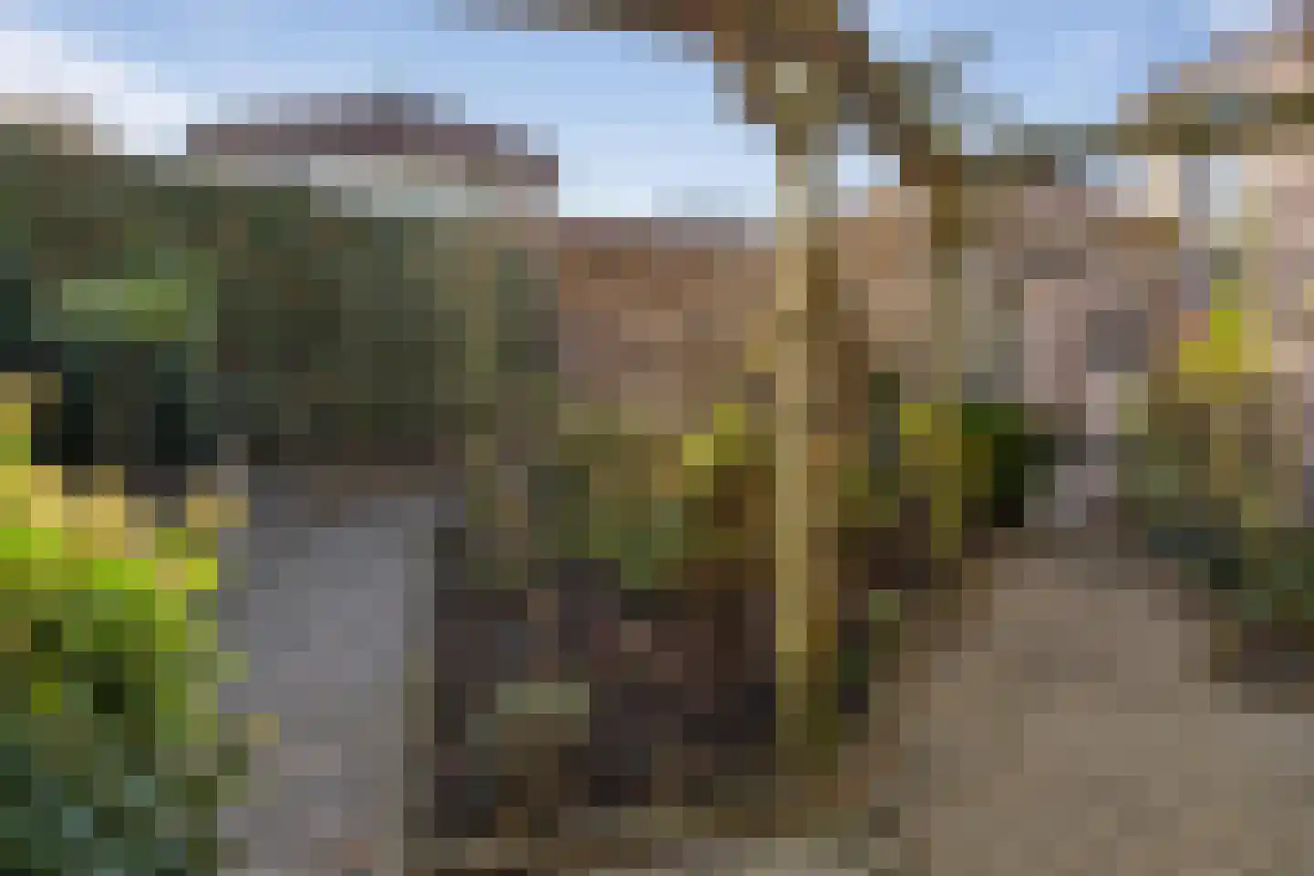 Veldweg 30 Etten-Leur thumbnail 35