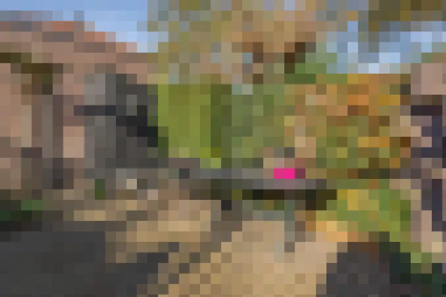 Veldweg 30 Etten-Leur thumbnail 36