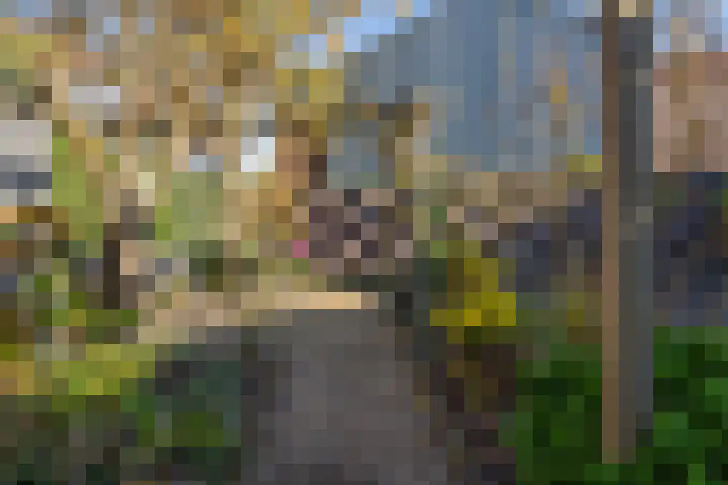Veldweg 30 Etten-Leur thumbnail 40