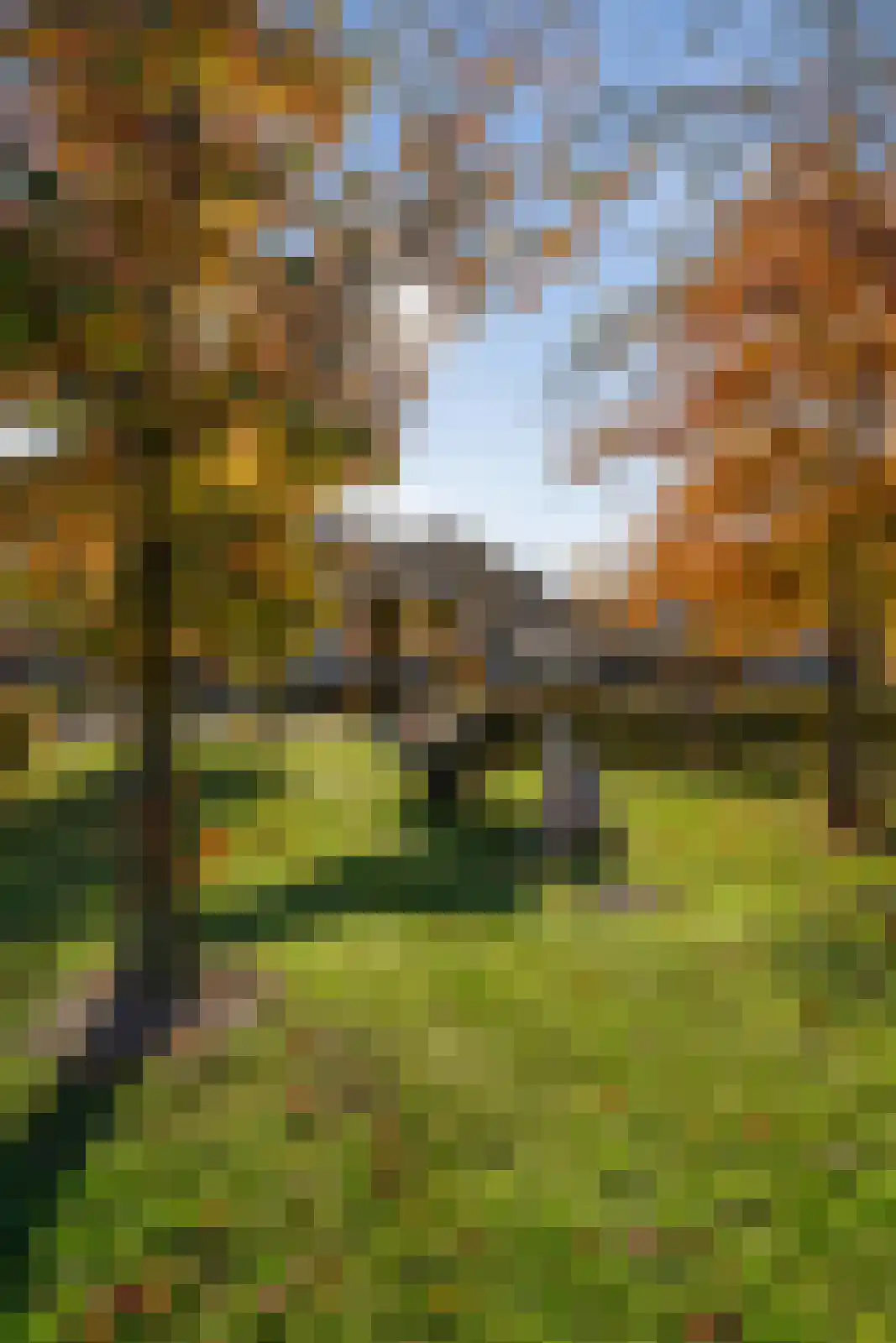 Veldweg 30 Etten-Leur thumbnail 47
