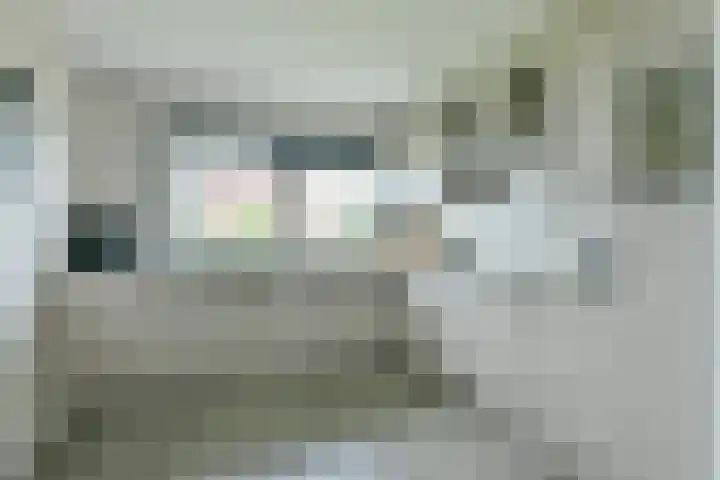 Veldweg 36 Almere thumbnail 15