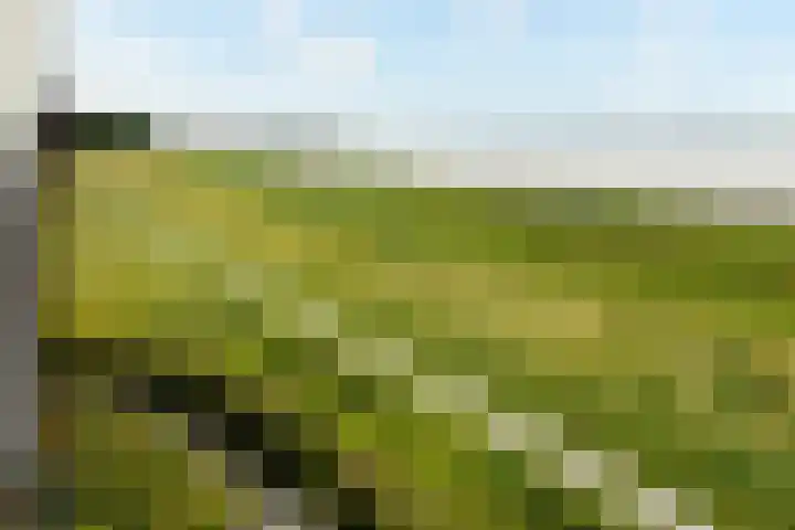 Veldweg 36 Almere thumbnail 26
