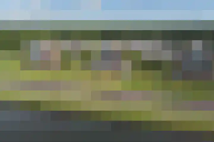 Veldweg 36 Almere thumbnail 32