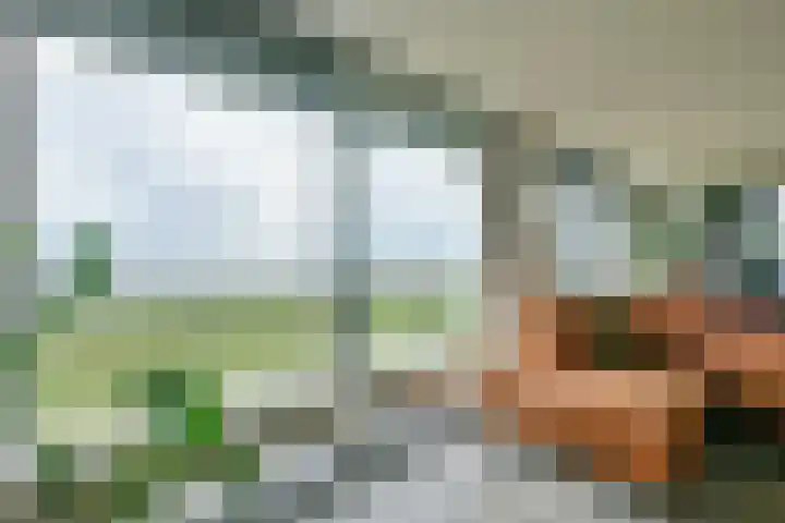 Veldweg 36 Almere thumbnail 9